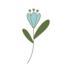 vector illustration of a flower