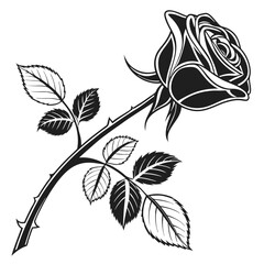 Single black rose on long stem with leaves and thorns Minimalist Style Plant art © Shipon