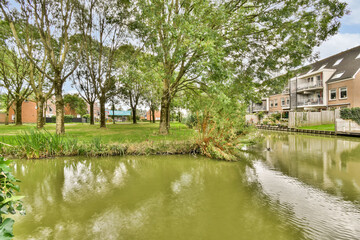Fototapeta premium A tranquil park setting featuring vibrant greenery, tall trees, and a peaceful waterbody, creating a perfect spot for relaxation and nature appreciation.