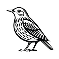 Chipping sparrow silhouette on a white background, Bird vector art and illustration