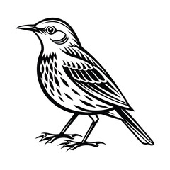 Chipping sparrow silhouette on a white background, Bird vector art and illustration