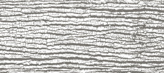 Poplar bark texture