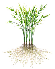 rice-related illustrations and smart farming technologies, focusing on grains, plants, cultivation, and innovative agricultural solutions for commercial use.