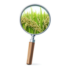 rice-related illustrations and smart farming technologies, focusing on grains, plants, cultivation, and innovative agricultural solutions for commercial use.