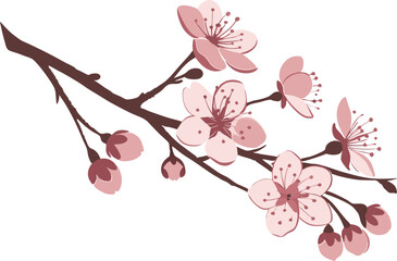 Pink cherry blossom illustration vector design isolated on white background.