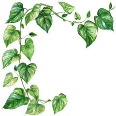 Add elegance with borders featuring greenery like Philodendron framing in a high quality PNG image