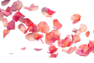 PNG Many rose petals floating and scattering background flower atmosphere.