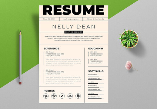 Modern Resume Template Layout