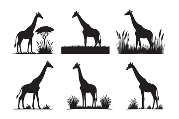 Silhouette of giraffe vector icon set illustration isolated on white background.