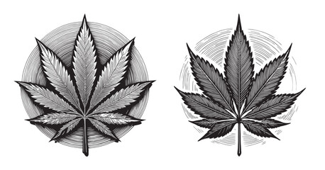 Obraz premium Black and White Illustration of Stylized Cannabis Leaves with Circles, logo design, engraving design, vector illustration