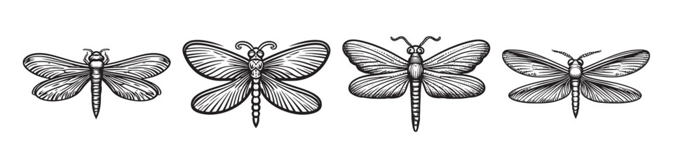 Hand-Drawn Insect Illustrations Featuring Various Butterfly Designs, logo design, engraving design, vector illustration, logo design, engraving design, vector illustration