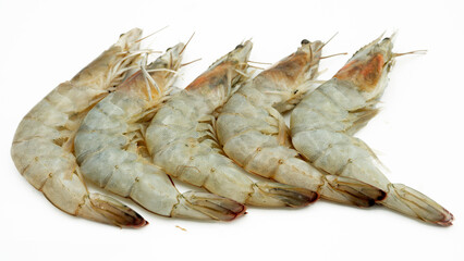 Fresh shrimp/prawn