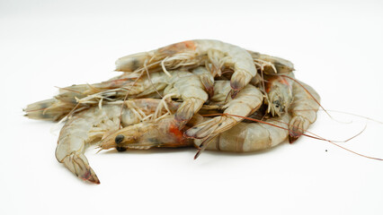 Fresh shrimp/prawn