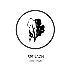 Logo vector design for business. Spinach logos.