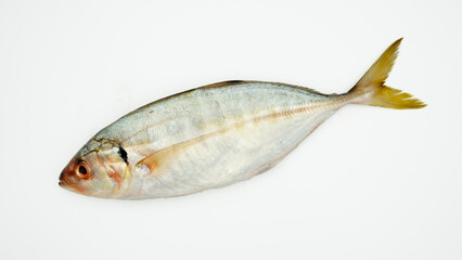 Fish yellowtail or ikan selar isolated on white background
