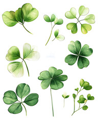 illustrations of various trees, leaves, grasses, and botanical elements on white background.