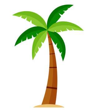 recommend clip art: Green palm coconut tree cartoon illustration tropical plant clipart
