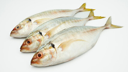 Fish yellowtail or ikan selar isolated on white background