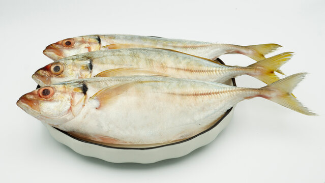 Fish yellowtail or ikan selar isolated on white background