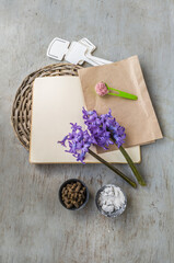 Spring Hyacinth and Garden Nutrients on Open Notebook (Flat Lay)