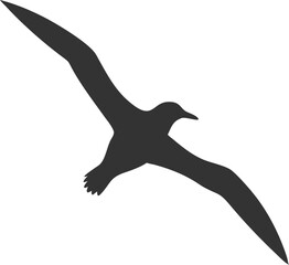 vector illustration of a flying bird