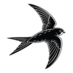 Typical swift Bird Silhouette on a white background