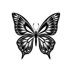 butterfly on white background