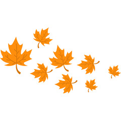 Autumn Maple Leaves Fall