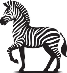 A zebra is shown with a black and white picture of a zebra
