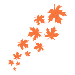 Maple Autumn Leaves