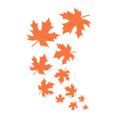 Obraz premium Maple Autumn Leaves