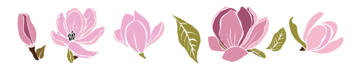 Set of hand drawn pink magnolia flowers and green leaves design elements. hand drawn flat vector illustrations isolated on transparent background © Creative_Juice_Art