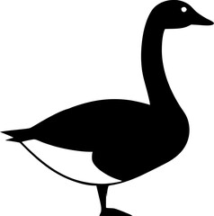 vector illustration of a goose