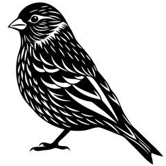 Sparrow silhouette