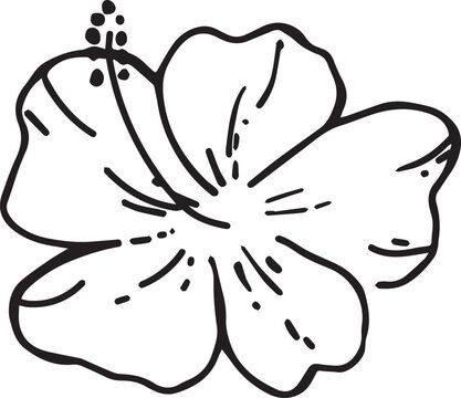 flower 2