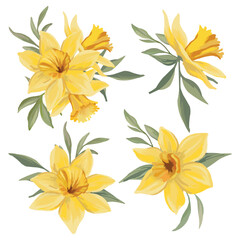 Set of daffodil flower arrangements Floral design with yellow spring flowers