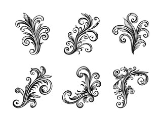 Intricate botanical flourish silhouette isolated on white background