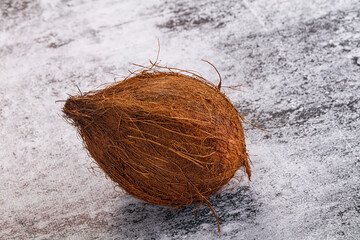 Tropical exotic brown haired coconut