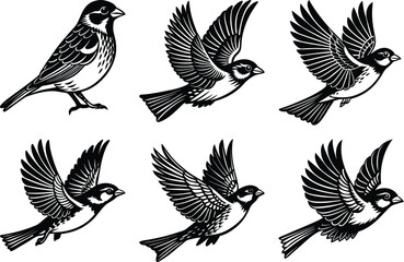 set of Sparrow silhouette vector
