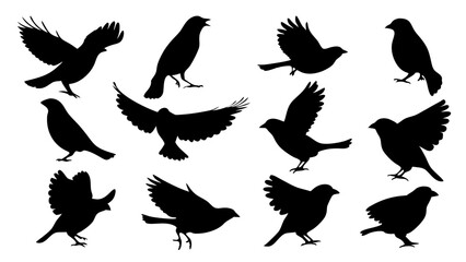 set of Sparrow silhouette vector