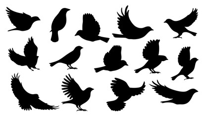 set of Sparrow silhouette vector