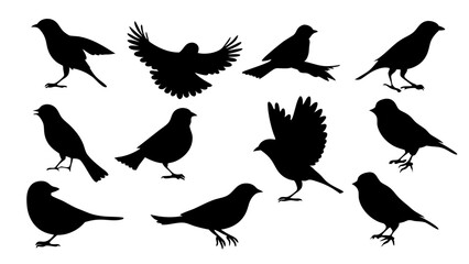 Obraz premium set of Sparrow silhouette vector