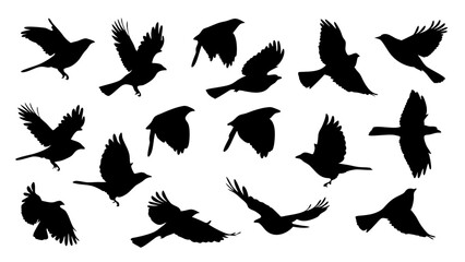 set of Sparrow silhouette vector