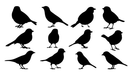 set of Sparrow silhouette vector