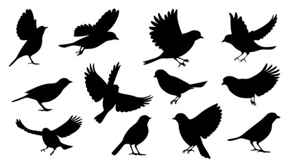 Obraz premium set of Sparrow silhouette vector