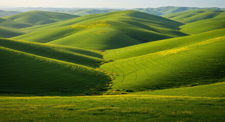 Obraz premium The vibrant green hills of a landscape create a stunning scene under a beautiful sunny sky.