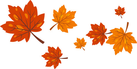 Maple Leaf Falling Illustration