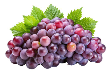Fototapeta premium Vibrant bunches of grapes surrounded by fresh leaves for natural food and healthy lifestyle visuals