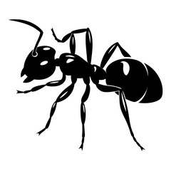 Detailed Silhouette Illustration of an Ant Showing Legs and Antennae