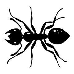 Silhouette illustration of an ant on a white background with six legs
